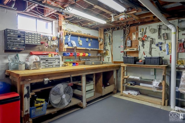 storage featuring electric panel