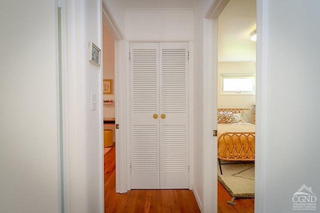 hallway featuring dark wood finished floors
