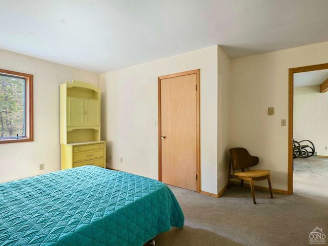 bedroom with light colored carpet