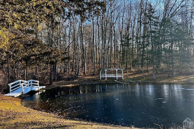 view of dock with a water view