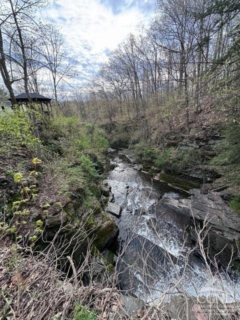 view of local wilderness