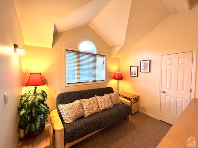 living room with dark carpet and lofted ceiling