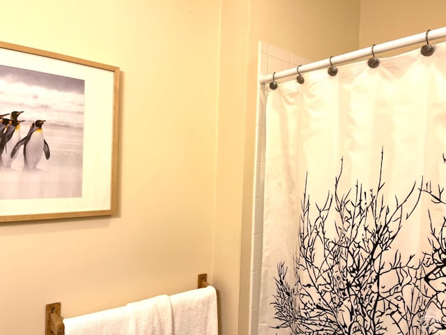 bathroom featuring curtained shower