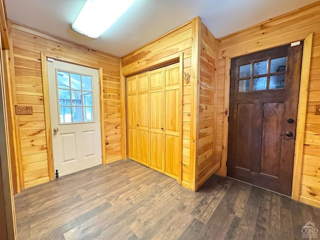 entrance foyer featuring dark wood-type flooring and wood walls