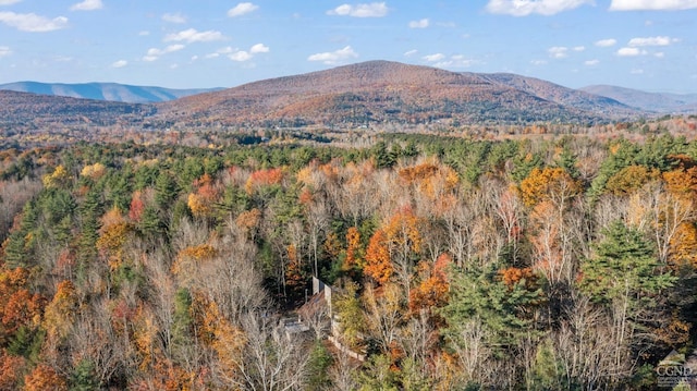 property view of mountains