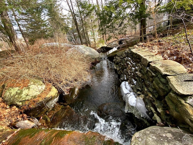 view of local wilderness