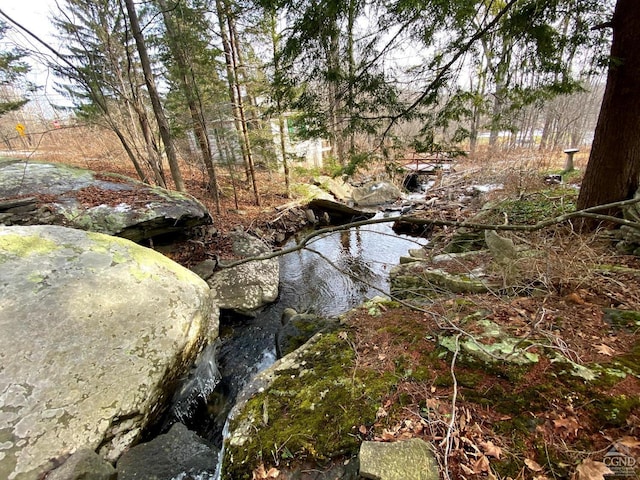 view of nature