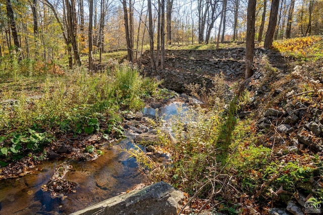 view of nature