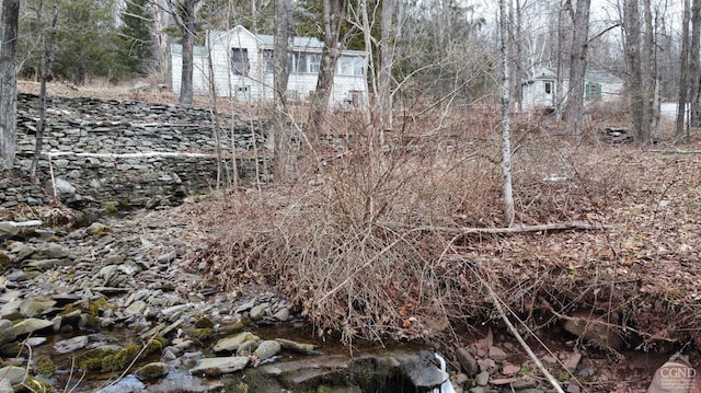 view of local wilderness