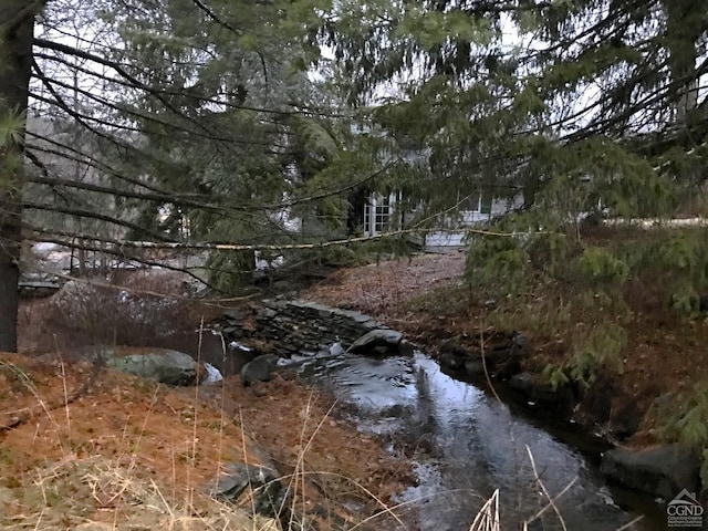 view of local wilderness