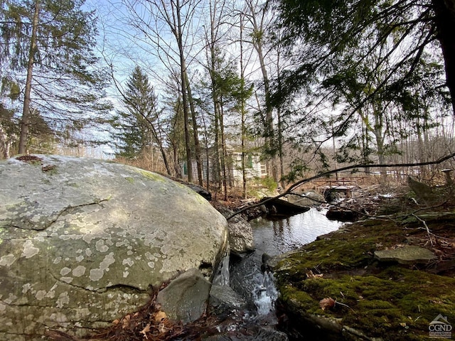 view of local wilderness