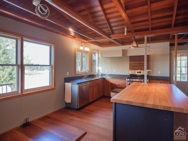 kitchen featuring a wealth of natural light and appliances with stainless steel finishes