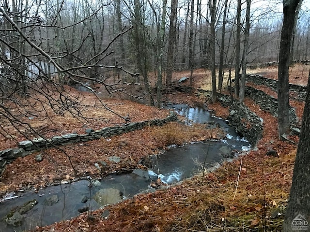 view of local wilderness