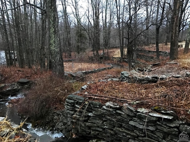 view of landscape