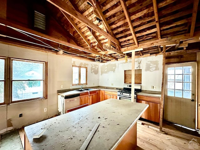 kitchen featuring a wealth of natural light, stainless steel appliances, lofted ceiling, and light wood-type flooring