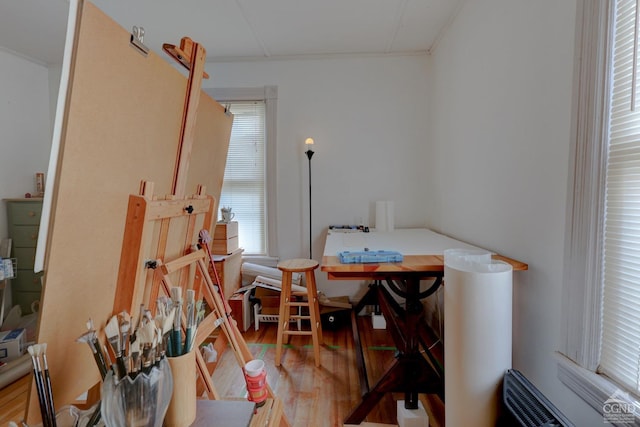 office area featuring hardwood / wood-style floors