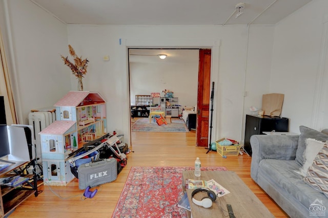 living room featuring light hardwood / wood-style floors