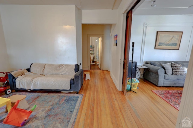 living room featuring wood-type flooring