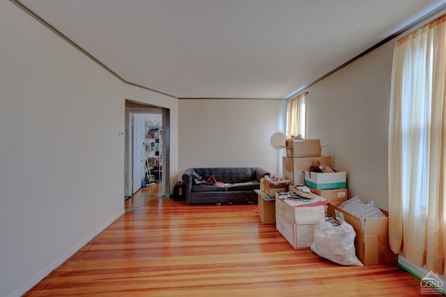 sitting room featuring light hardwood / wood-style floors