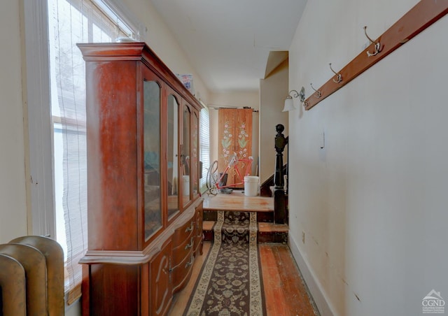 corridor with plenty of natural light and dark hardwood / wood-style floors