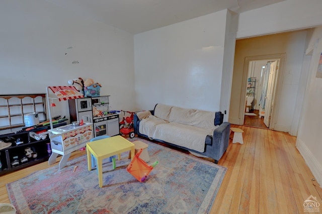 living room with wood-type flooring