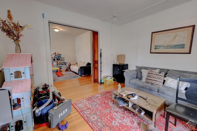 living room with hardwood / wood-style flooring