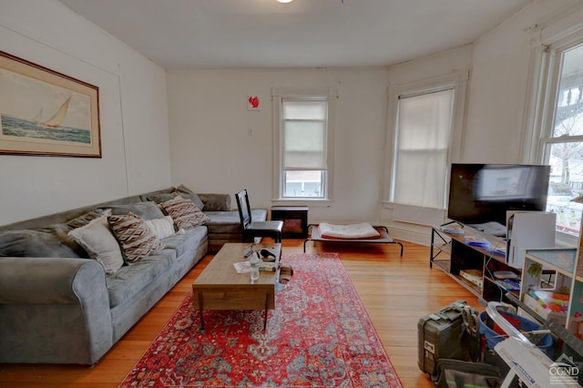 living room with light wood-type flooring