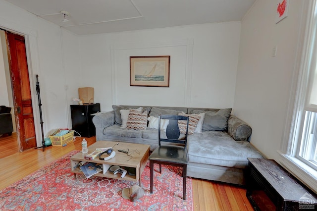 living room featuring wood-type flooring