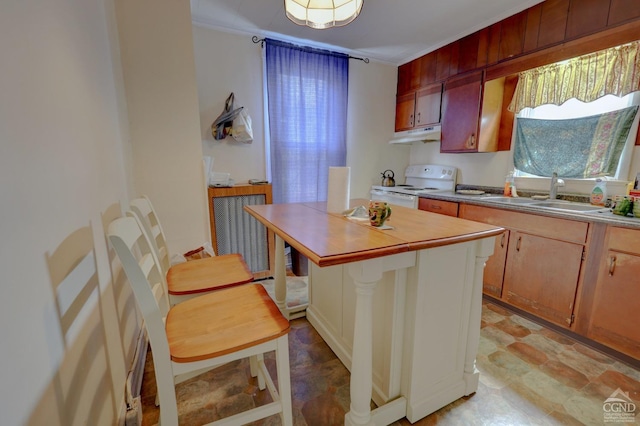 kitchen with a center island, white range with electric cooktop, sink, ornamental molding, and radiator heating unit