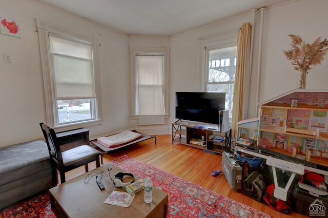 living room featuring a wealth of natural light and hardwood / wood-style floors