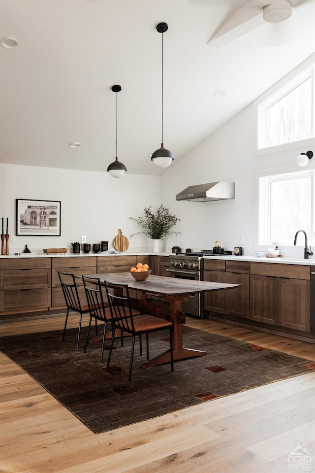 kitchen with a sink, extractor fan, high end stove, vaulted ceiling, and dark wood-style floors