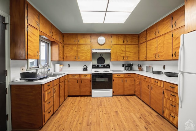 kitchen with freestanding refrigerator, under cabinet range hood, brown cabinets, electric range oven, and light wood-type flooring