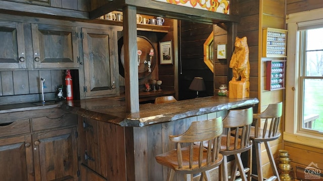 bar with dark brown cabinetry and wood walls