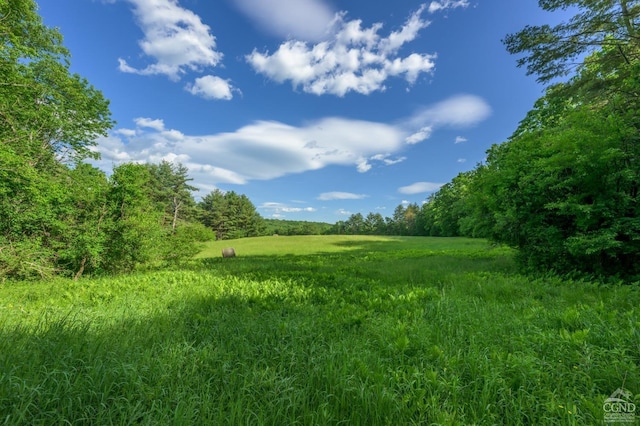 0 Cotter Rd, Chatham NY, 12037 land for sale