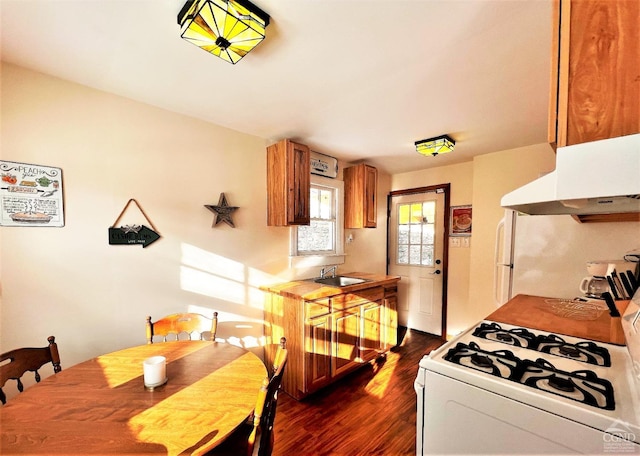 kitchen with sink, white appliances, and dark wood-type flooring