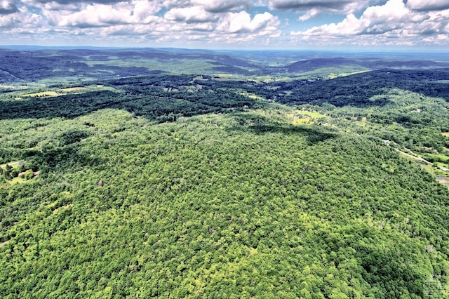 bird's eye view featuring a mountain view