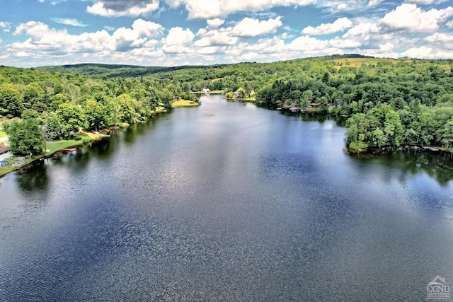 property view of water