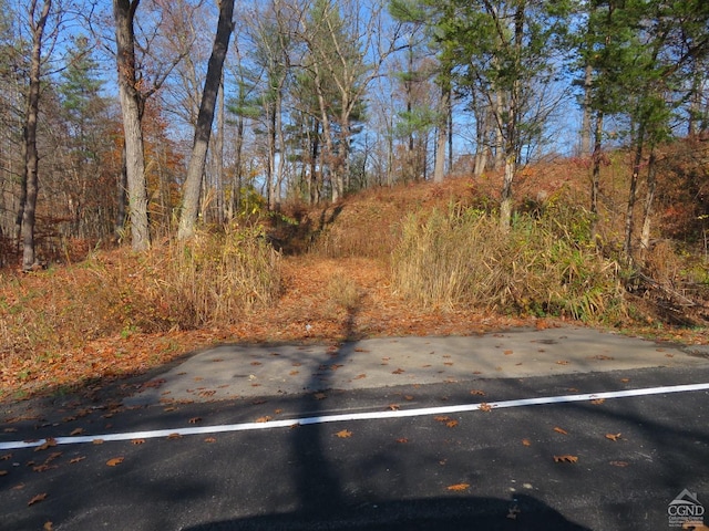 233 County Route 46, Stuyvesant NY, 12174 land for sale