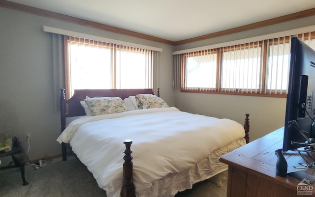 bedroom with dark carpet