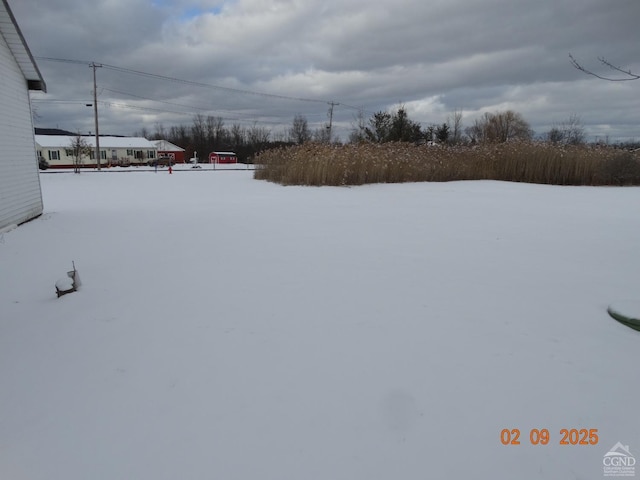 view of yard covered in snow