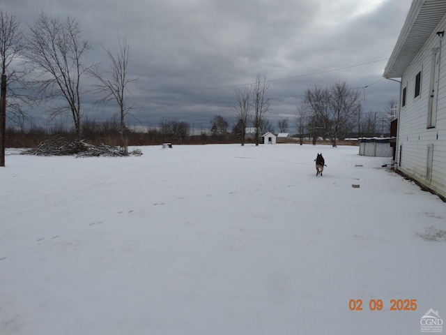 view of yard layered in snow