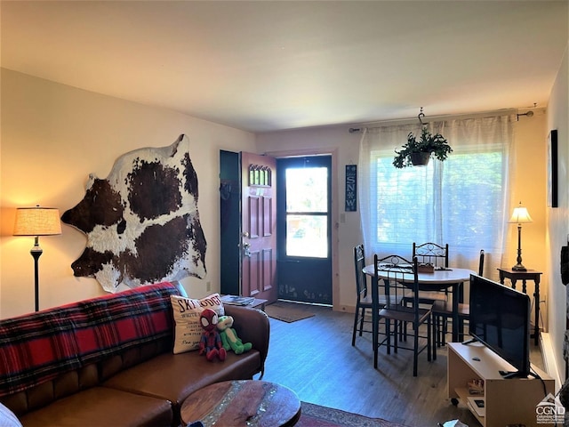 living room featuring hardwood / wood-style floors