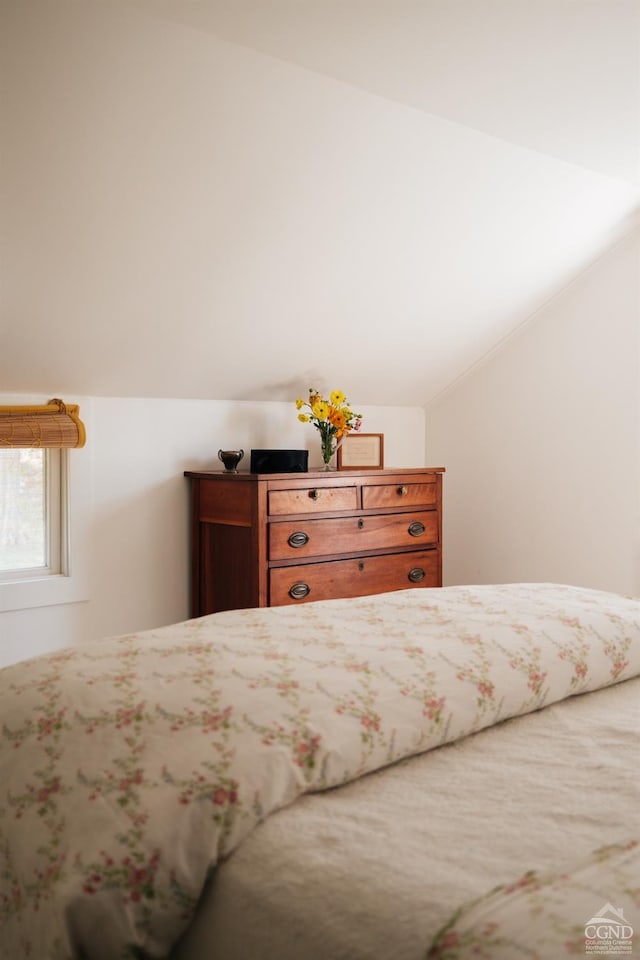 bedroom featuring vaulted ceiling