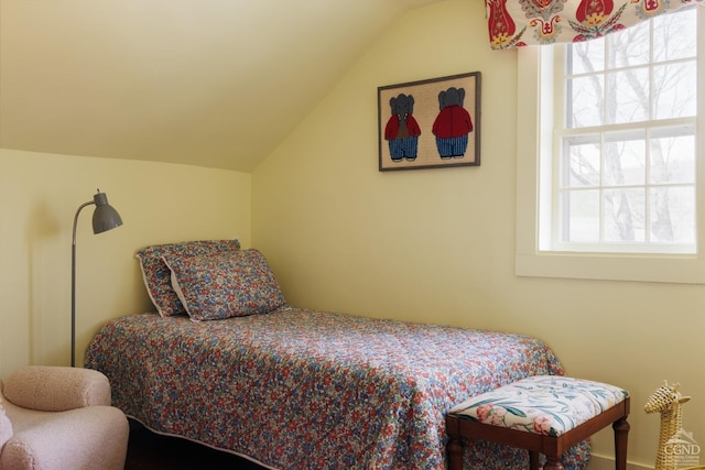 bedroom with multiple windows and lofted ceiling