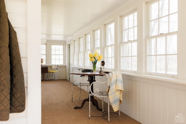 sunroom / solarium featuring carpet floors