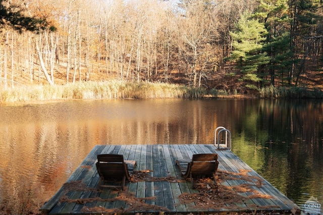 view of dock featuring a water view