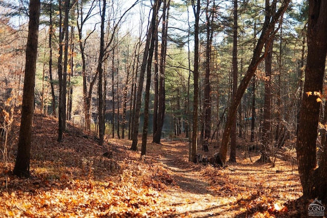 view of landscape with a forest view