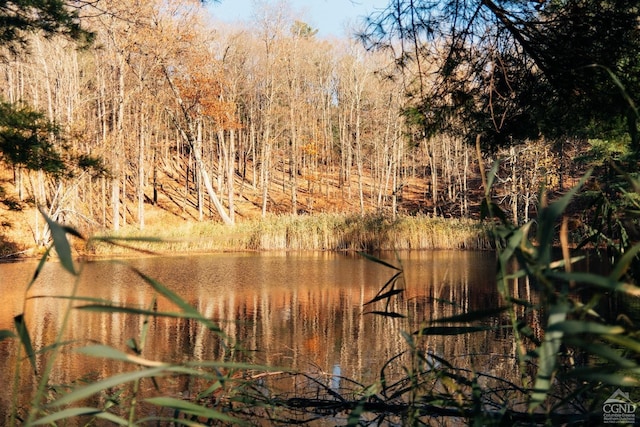 water view