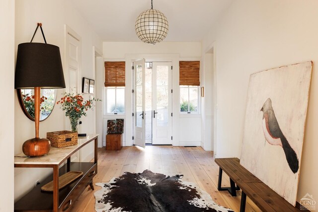 foyer with light hardwood / wood-style floors