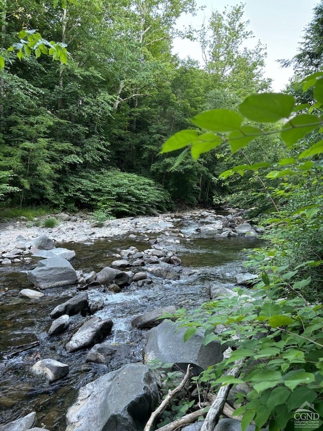 view of local wilderness